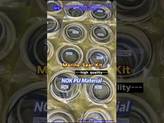 समुद्री तेल सील जहाज हाइड्रोलिक स्टील हैच कवर सिलेंडर मरम्मत सील किट