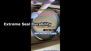 आपने अब तक देखी सबसे बड़ी तैरती हुई तेल सील किस आकार की है?